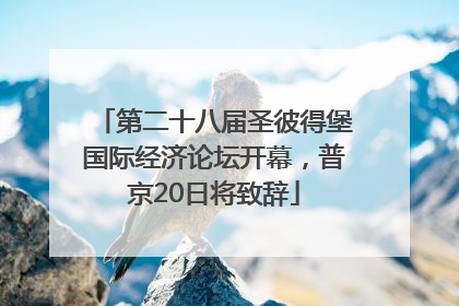 第二十八届圣彼得堡国际经济论坛开幕，普京20日将致辞