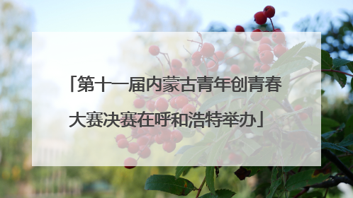 第十一届内蒙古青年创青春大赛决赛在呼和浩特举办
