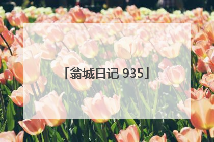 翁城日记 935
