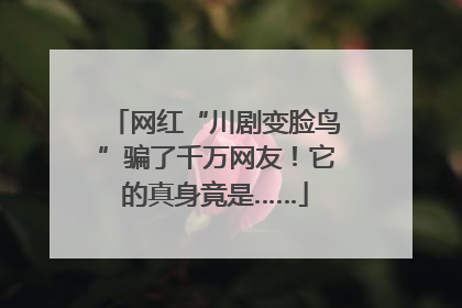 网红“川剧变脸鸟”骗了千万网友！它的真身竟是……