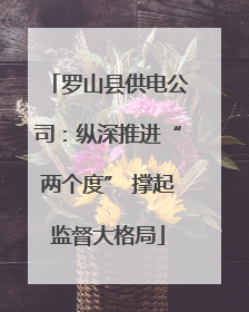 罗山县供电公司：纵深推进“两个度” 撑起监督大格局