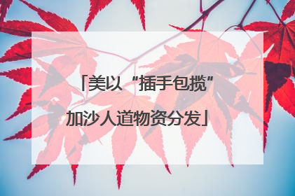 美以“插手包揽”加沙人道物资分发