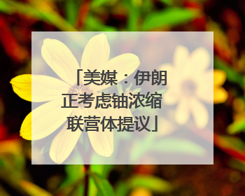 美媒：伊朗正考虑铀浓缩联营体提议