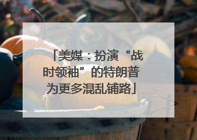 美媒：扮演“战时领袖”的特朗普为更多混乱铺路