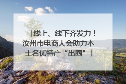线上、线下齐发力！汝州市电商大会助力本土名优特产“出圈”