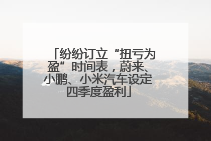纷纷订立“扭亏为盈”时间表，蔚来、小鹏、小米汽车设定四季度盈利