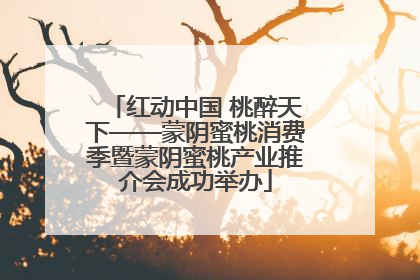 红动中国 桃醉天下——蒙阴蜜桃消费季暨蒙阴蜜桃产业推介会成功举办