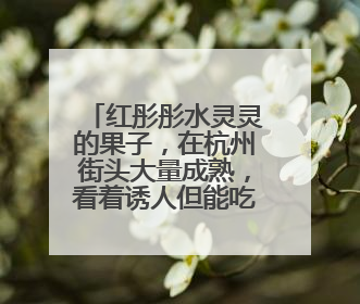 红彤彤水灵灵的果子，在杭州街头大量成熟，看着诱人但能吃吗？