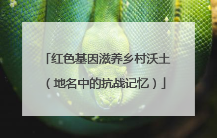红色基因滋养乡村沃土（地名中的抗战记忆）