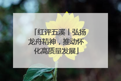 红评五溪丨弘扬龙舟精神，推动怀化高质量发展