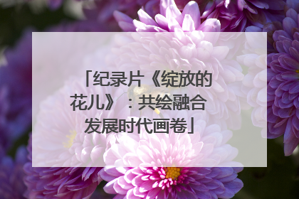 纪录片《绽放的花儿》：共绘融合发展时代画卷