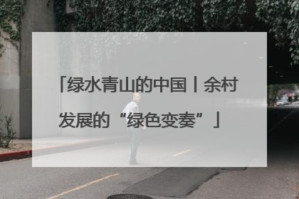 绿水青山的中国丨余村发展的“绿色变奏”