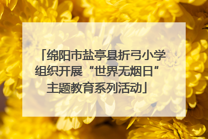 绵阳市盐亭县折弓小学组织开展“世界无烟日”主题教育系列活动