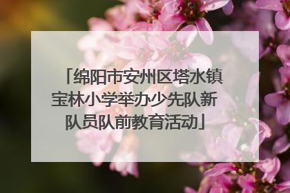 绵阳市安州区塔水镇宝林小学举办少先队新队员队前教育活动