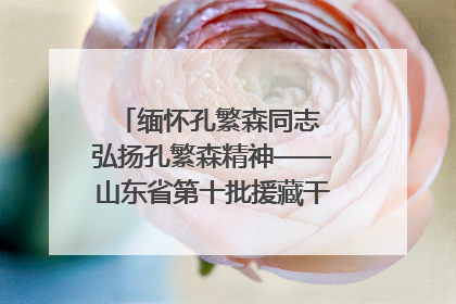 缅怀孔繁森同志 弘扬孔繁森精神——山东省第十批援藏干部人才清明节前到岗巴县开展党性教育