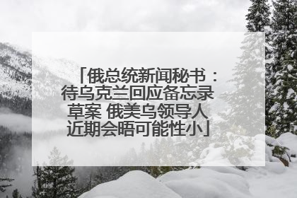 俄总统新闻秘书：待乌克兰回应备忘录草案 俄美乌领导人近期会晤可能性小