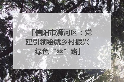 信阳市浉河区：党建引领绘就乡村振兴绿色“丝”路
