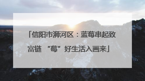信阳市浉河区：蓝莓串起致富链 “莓”好生活入画来