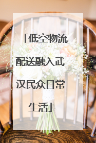 低空物流配送融入武汉民众日常生活