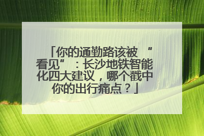 你的通勤路该被 “看见”：长沙地铁智能化四大建议，哪个戳中你的出行痛点？