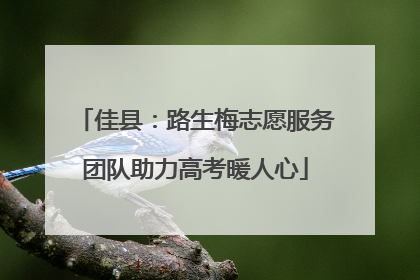 佳县：路生梅志愿服务团队助力高考暖人心