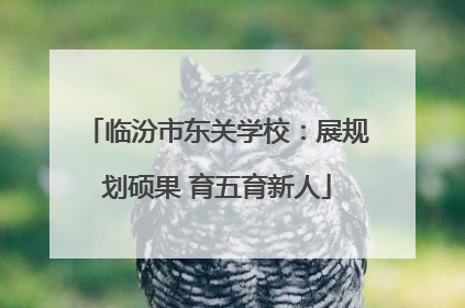 临汾市东关学校：展规划硕果 育五育新人