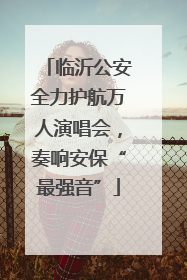 临沂公安全力护航万人演唱会，奏响安保“最强音”