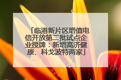 临港新片区增值电信开放第二批试点企业授牌：新增高济健康、科戈波特两家