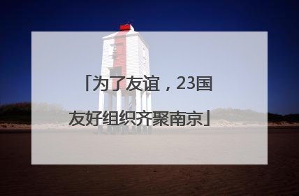 为了友谊，23国友好组织齐聚南京