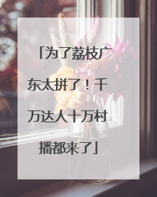为了荔枝广东太拼了！千万达人十万村播都来了