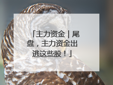 主力资金｜尾盘，主力资金出逃这些股！