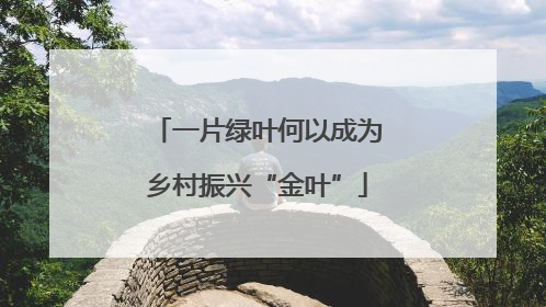 一片绿叶何以成为乡村振兴“金叶”
