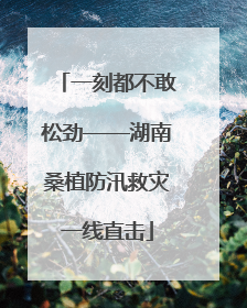 一刻都不敢松劲——湖南桑植防汛救灾一线直击