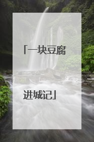一块豆腐进城记
