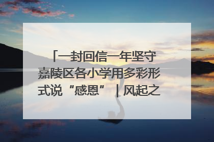 一封回信一年坚守 嘉陵区各小学用多彩形式说“感恩”｜风起之江 扶摇直上