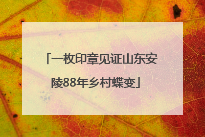 一枚印章见证山东安陵88年乡村蝶变