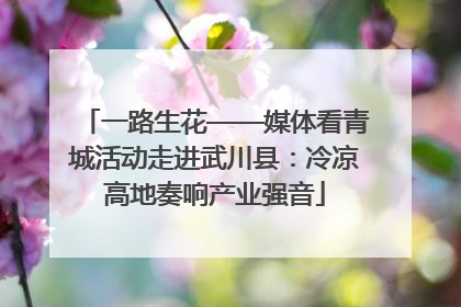 一路生花——媒体看青城活动走进武川县：冷凉高地奏响产业强音