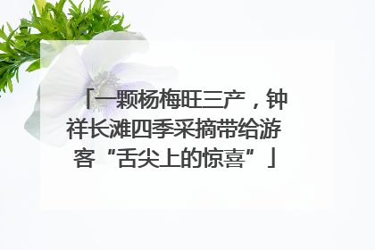 一颗杨梅旺三产，钟祥长滩四季采摘带给游客“舌尖上的惊喜”