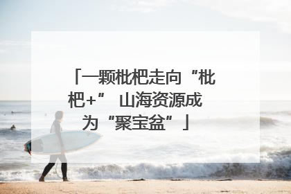 一颗枇杷走向“枇杷+” 山海资源成为“聚宝盆”