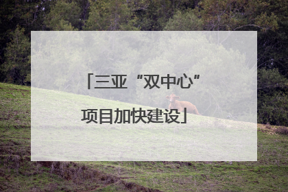 三亚“双中心”项目加快建设
