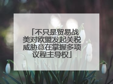 不只是贸易战 美对欧盟发起关税威胁意在掌握多项议程主导权