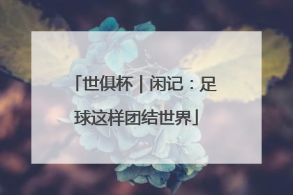 世俱杯｜闲记：足球这样团结世界