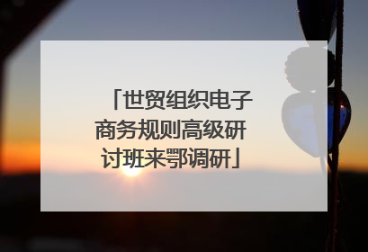 世贸组织电子商务规则高级研讨班来鄂调研