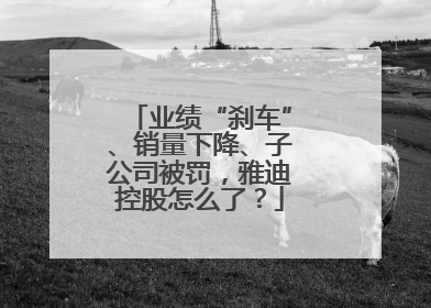 业绩“刹车”、销量下降、子公司被罚，雅迪控股怎么了？