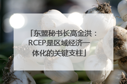 东盟秘书长高金洪：RCEP是区域经济一体化的关键支柱
