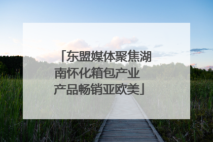 东盟媒体聚焦湖南怀化箱包产业 产品畅销亚欧美