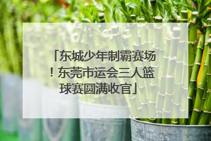 东城少年制霸赛场！东莞市运会三人篮球赛圆满收官