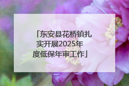 东安县花桥镇扎实开展2025年度低保年审工作