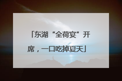 东湖“全荷宴”开席，一口吃掉夏天
