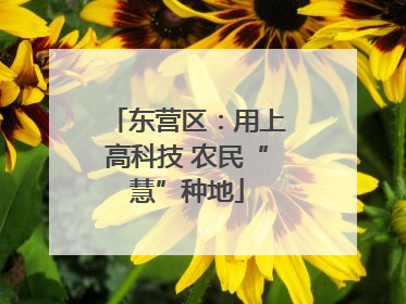 东营区：用上高科技 农民“慧”种地